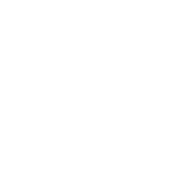Marketing Report
